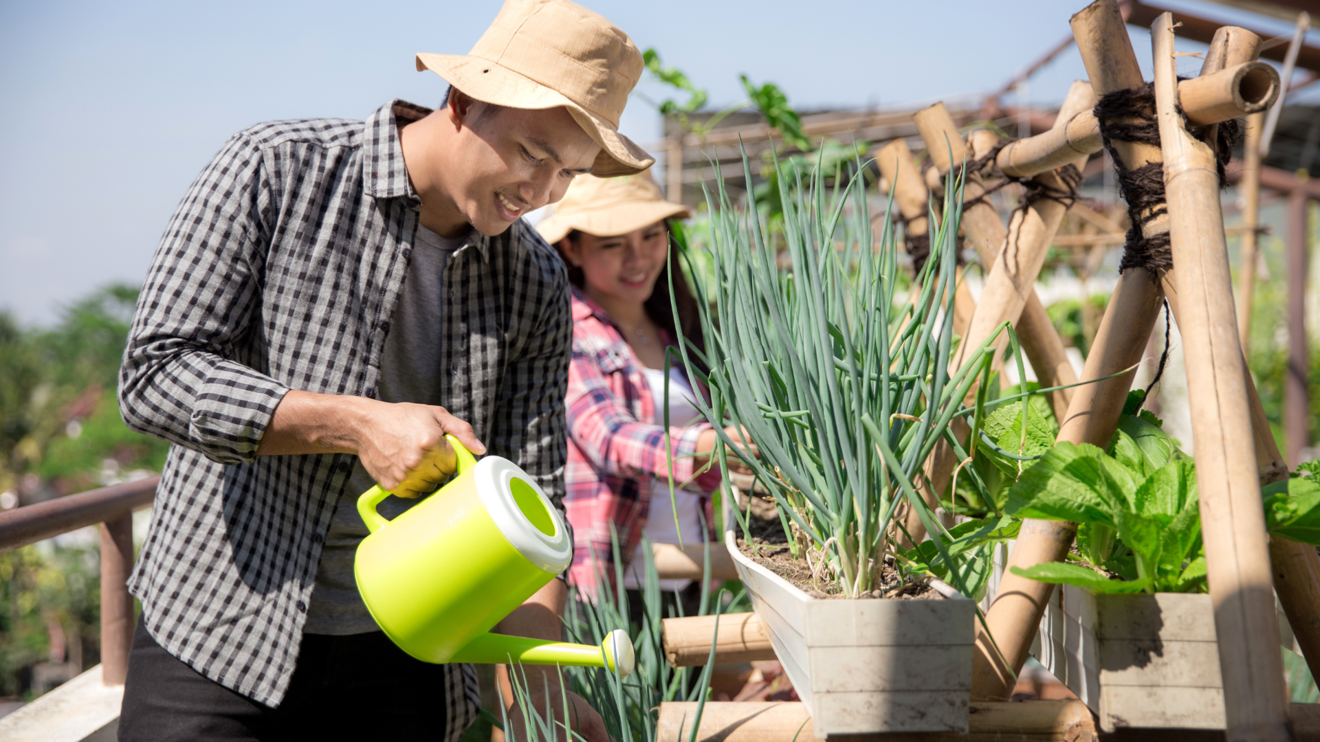 Initiation  l'agriculture urbaine