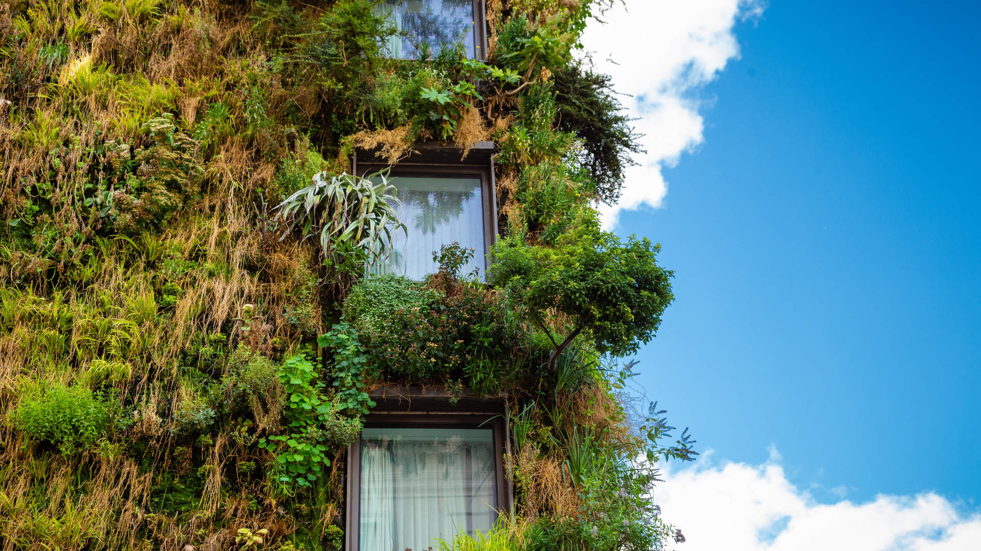 Créer une green city en équipe