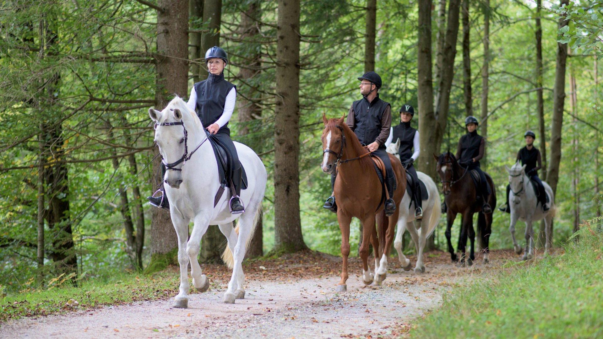 Team Building Balade  Cheval prs de Deauville