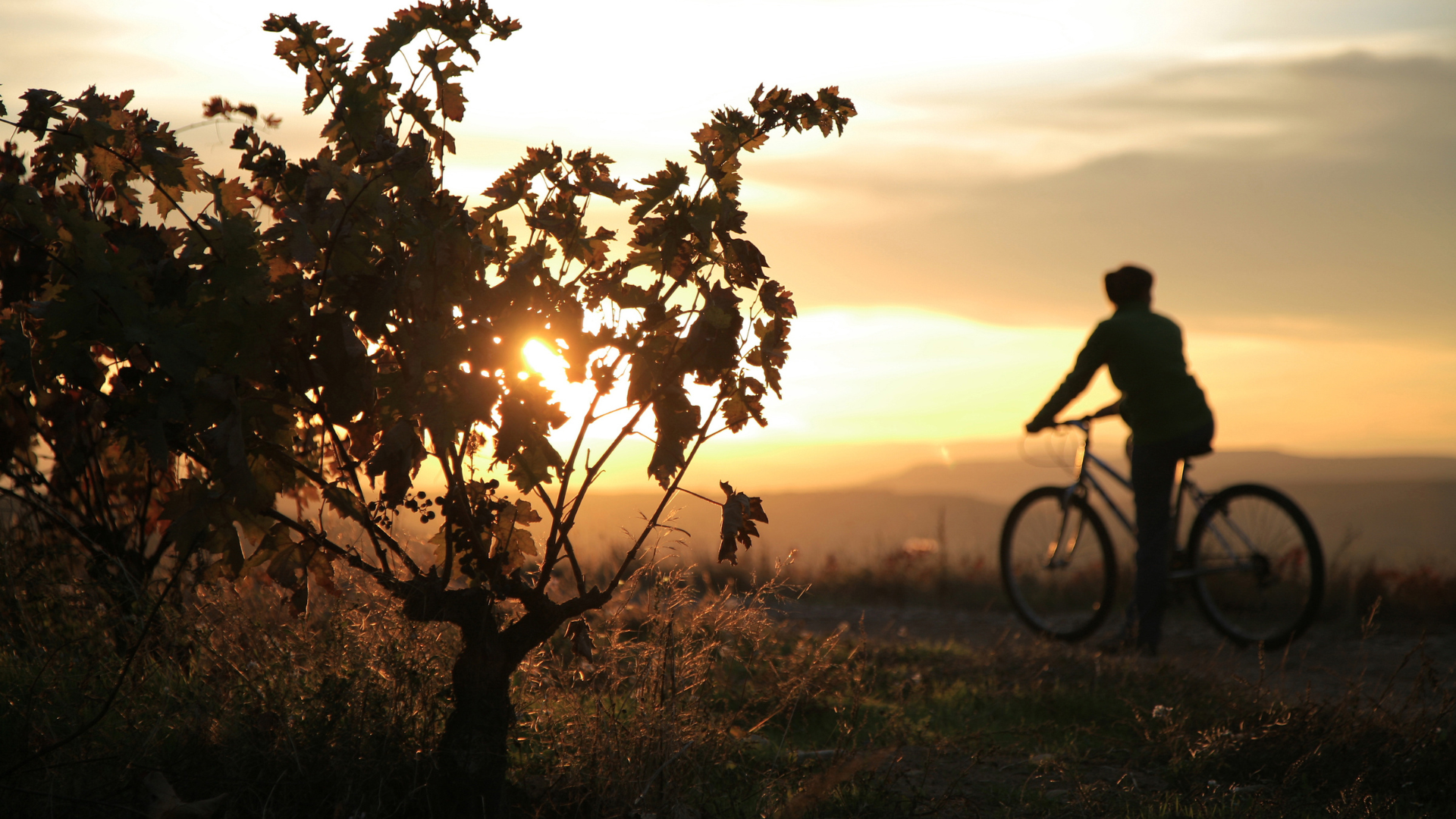 Rallye vélo dans le vignoble Champagne 